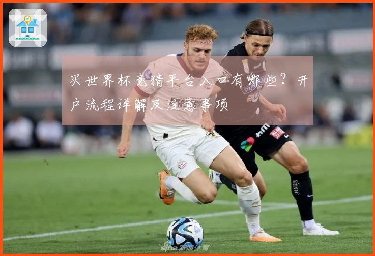 买世界杯竞猜平台入口有哪些?开户流程详解及注意事项