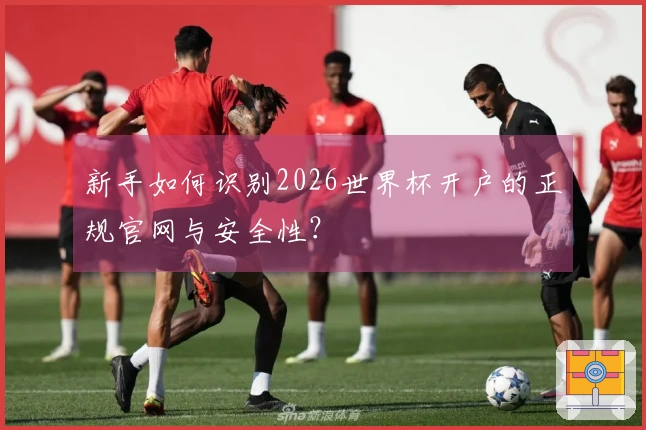 新手如何识别2026世界杯开户的正规官网与安全性？